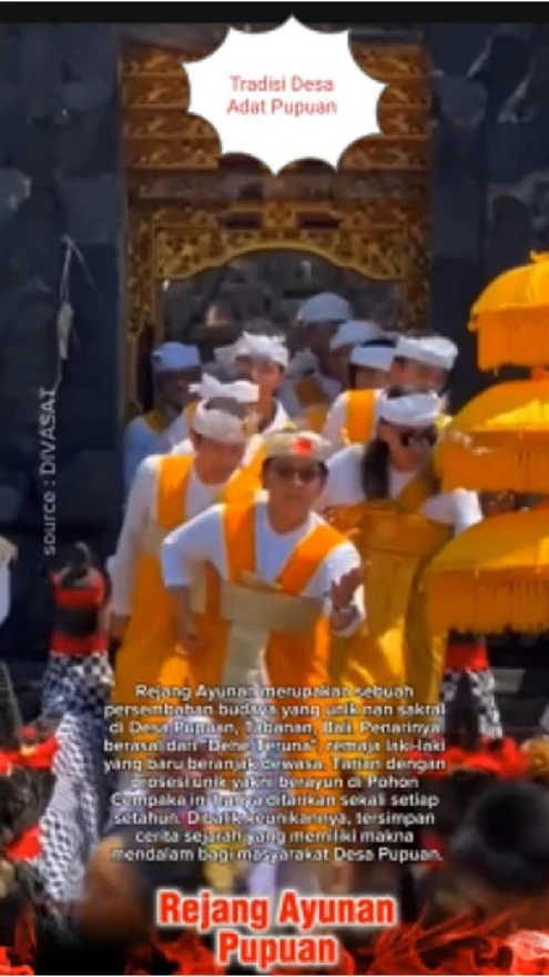 Tejong - tejong Desa Adat Pupuan