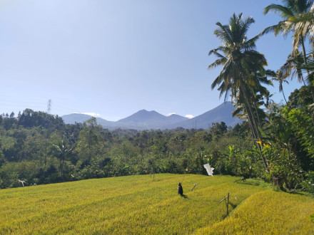 Panorama Wisata Alam 